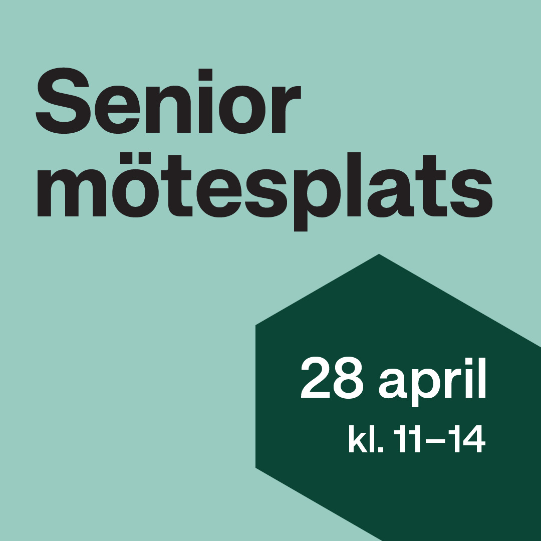 CIJ_Seniordag-03