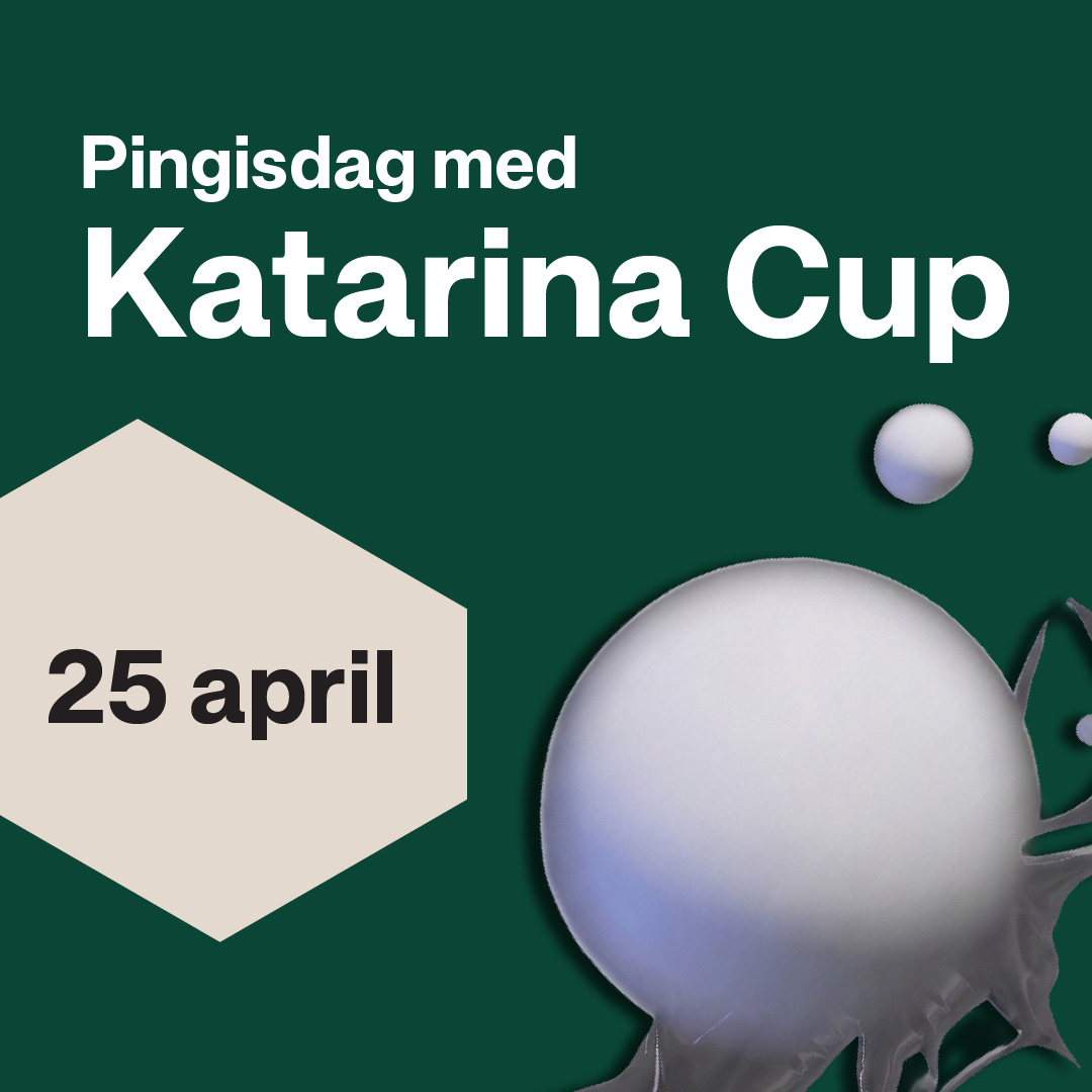 Pingisdag-03